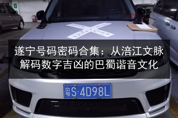 遂宁号码密码合集：从涪江文脉解码数字吉凶的巴蜀谐音文化 第3张