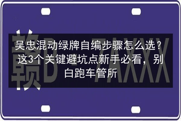 吴忠混动绿牌自编步骤怎么选？这3个关键避坑点新手必看，别白跑车管所