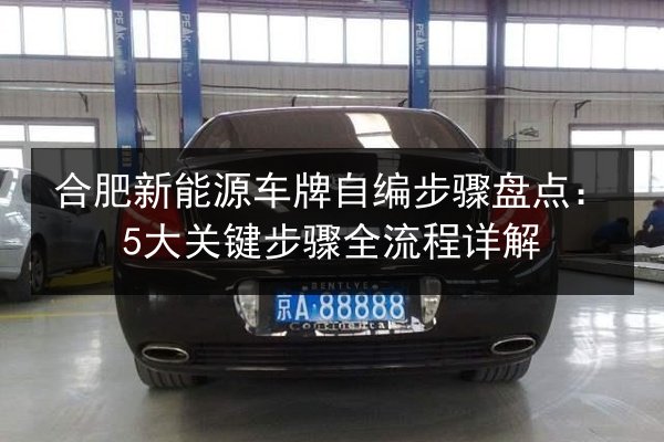 合肥新能源车牌自编步骤盘点：5大关键步骤全流程详解