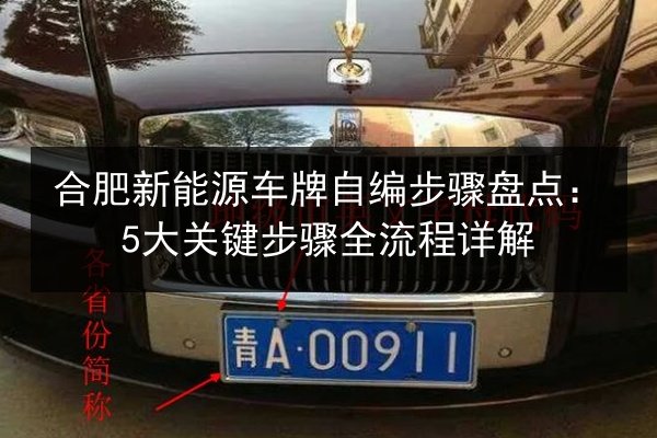 合肥新能源车牌自编步骤盘点:5大关键步骤全流程详解 第3张 合肥新能源车牌自编步骤盘点:5大关键步骤全流程详解 第3张