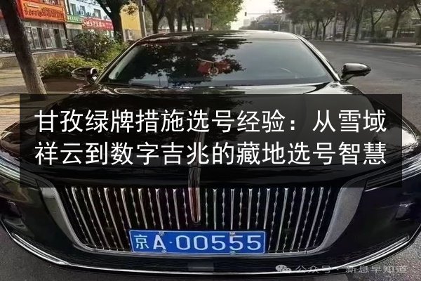 甘孜绿牌措施选号经验：从雪域祥云到数字吉兆的藏地选号智慧 第2张