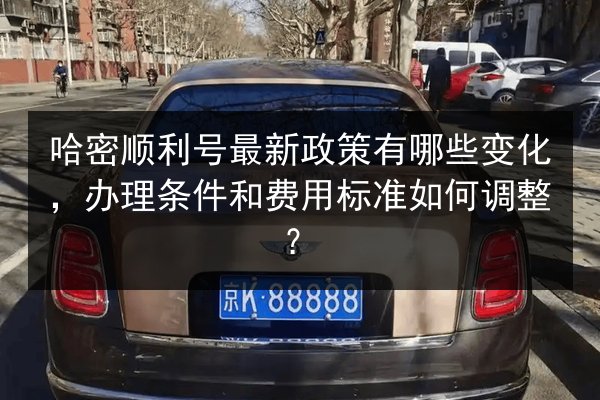 哈密顺利号最新政策有哪些变化，办理条件和费用标准如何调整？