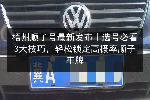 梧州顺子号最新发布｜选号必看3大技巧，轻松锁定高概率顺子车牌