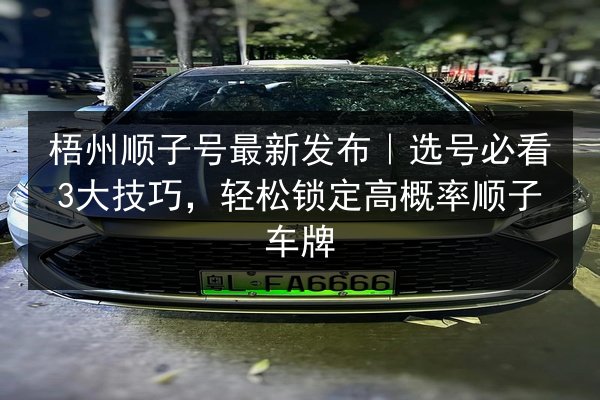 梧州顺子号最新发布|选号必看3大技巧,轻松锁定高概率顺子车牌 第3张 梧州顺子号最新发布|选号必看3大技巧,轻松锁定高概率顺子车牌 第3张