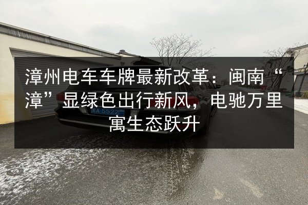 漳州电车车牌最新改革：闽南“漳”显绿色出行新风，电驰万里寓生态跃升 第2张