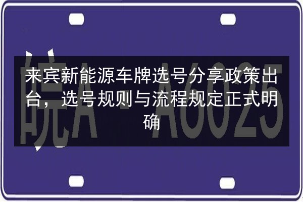 来宾新能源车牌选号分享政策出台,选号规则与流程规定正式明确 第2张 来宾新能源车牌选号分享政策出台,选号规则与流程规定正式明确 第2张