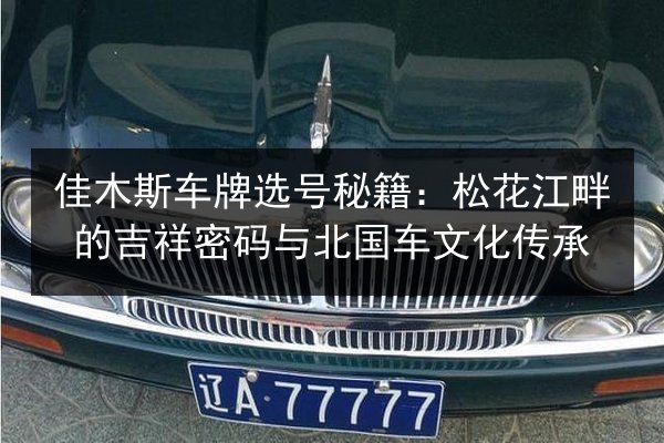 佳木斯车牌选号秘籍:松花江畔的吉祥密码与北国车文化传承 第3张 佳木斯车牌选号秘籍:松花江畔的吉祥密码与北国车文化传承 第3张