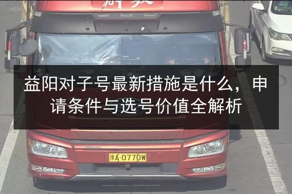 益阳对子号最新措施是什么，申请条件与选号价值全解析