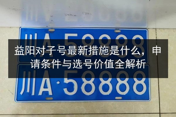 益阳对子号最新措施是什么，申请条件与选号价值全解析 第2张