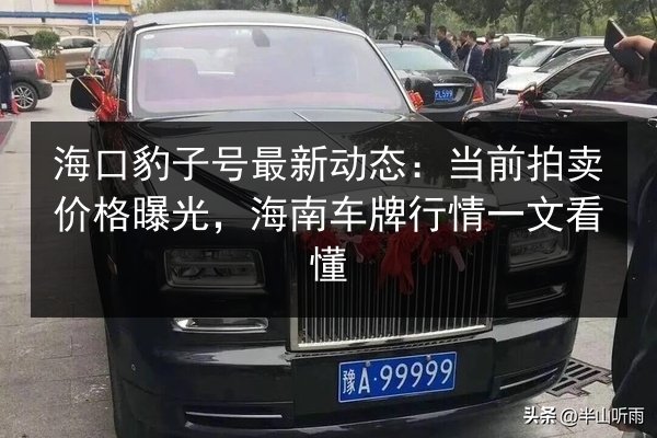 海口豹子号最新动态：当前拍卖价格曝光，海南车牌行情一文看懂 第3张
