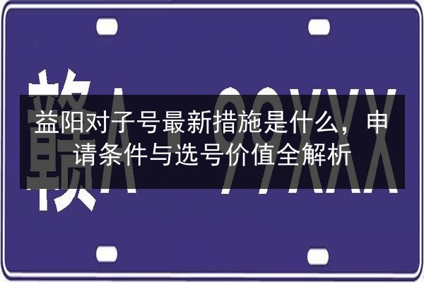 益阳对子号最新措施是什么，申请条件与选号价值全解析 第3张