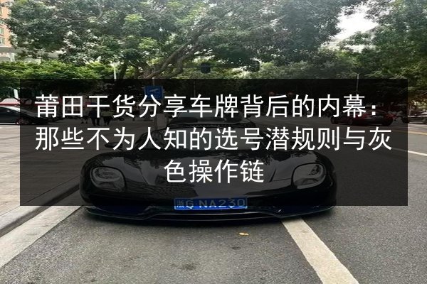 莆田干货分享车牌背后的内幕:那些不为人知的选号潜规则与灰色操作链 第2张 莆田干货分享车牌背后的内幕:那些不为人知的选号潜规则与灰色操作链 第2张