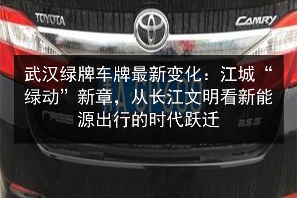 武汉绿牌车牌最新变化：江城“绿动”新章，从长江文明看新能源出行的时代跃迁