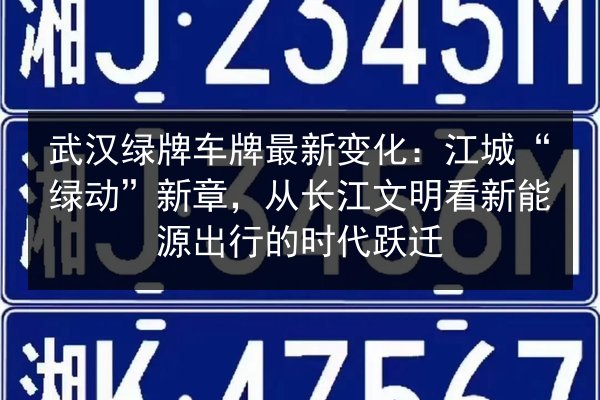 武汉绿牌车牌最新变化：江城“绿动”新章，从长江文明看新能源出行的时代跃迁 第2张