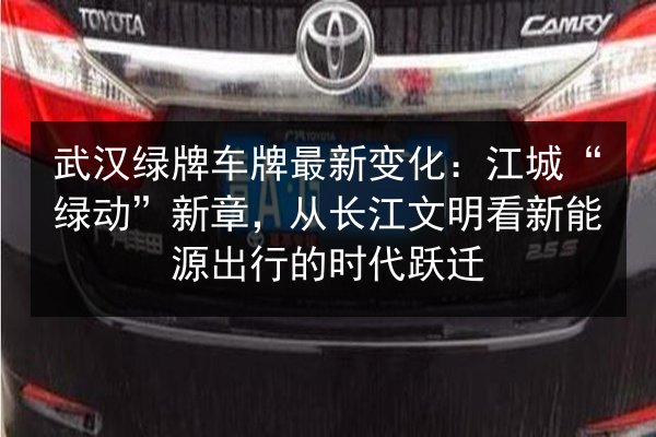 武汉绿牌车牌最新变化：江城“绿动”新章，从长江文明看新能源出行的时代跃迁 第3张