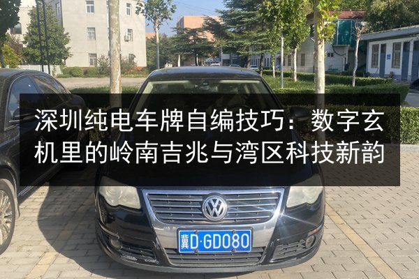 深圳纯电车牌自编技巧：数字玄机里的岭南吉兆与湾区科技新韵 第2张