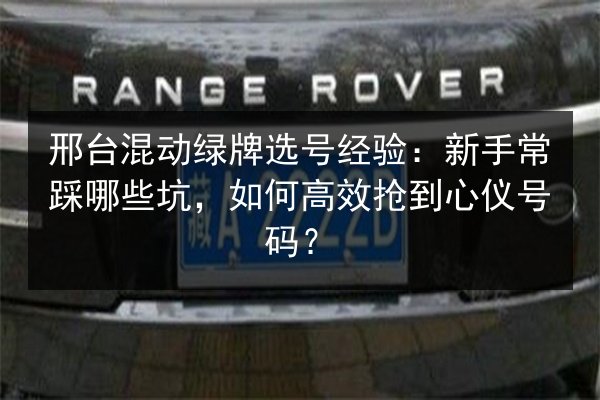 邢台混动绿牌选号经验:新手常踩哪些坑,如何高效抢到心仪号码? 第3张 邢台混动绿牌选号经验:新手常踩哪些坑,如何高效抢到心仪号码? 第3张