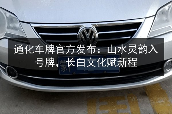 通化车牌官方发布：山水灵韵入号牌，长白文化赋新程 第2张
