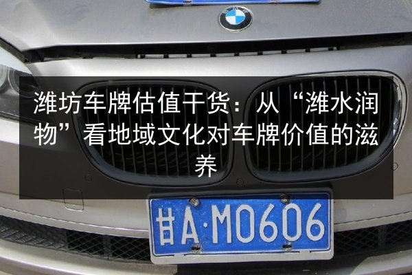 潍坊车牌估值干货：从“潍水润物”看地域文化对车牌价值的滋养