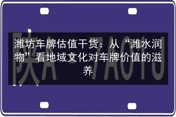 潍坊车牌估值干货：从“潍水润物”看地域文化对车牌价值的滋养 第2张