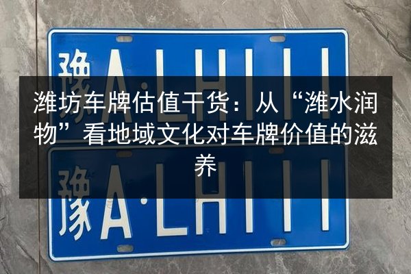 潍坊车牌估值干货：从“潍水润物”看地域文化对车牌价值的滋养 第3张