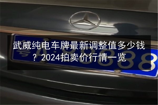 武威纯电车牌最新调整值多少钱?2024拍卖价行情一览 第2张 武威纯电车牌最新调整值多少钱?2024拍卖价行情一览 第2张