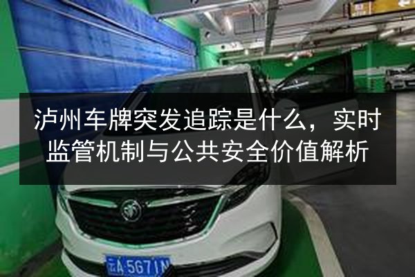 泸州车牌突发追踪是什么，实时监管机制与公共安全价值解析