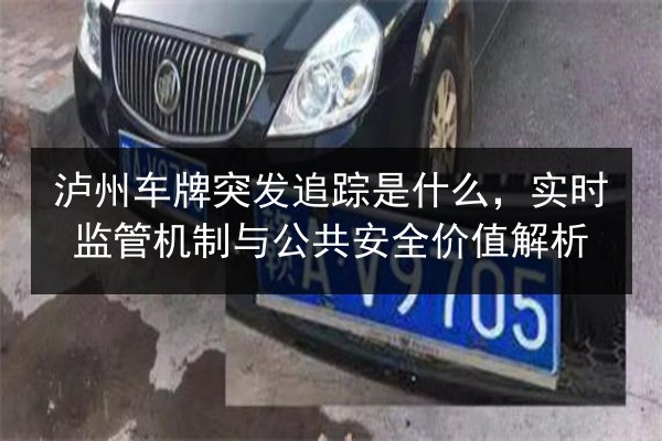 泸州车牌突发追踪是什么，实时监管机制与公共安全价值解析 第2张