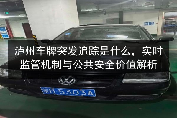 泸州车牌突发追踪是什么，实时监管机制与公共安全价值解析 第3张
