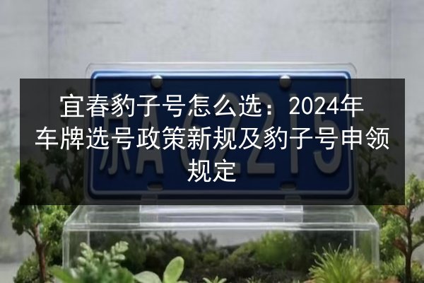 宜春豹子号怎么选：2024年车牌选号政策新规及豹子号申领规定