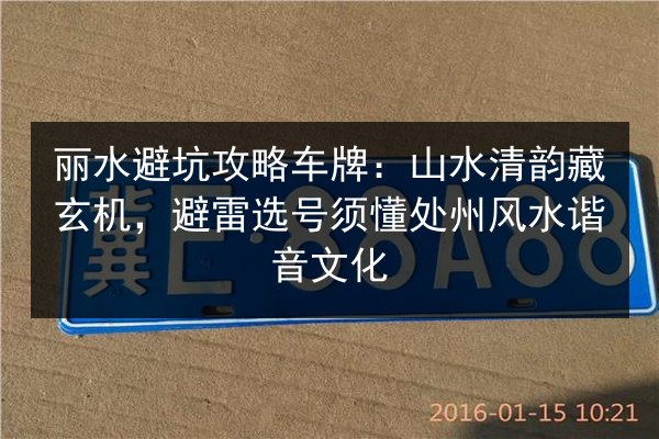 丽水避坑攻略车牌：山水清韵藏玄机，避雷选号须懂处州风水谐音文化 第3张