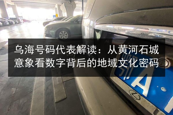 乌海号码代表解读：从黄河石城意象看数字背后的地域文化密码