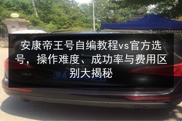 安康帝王号自编教程vs官方选号，操作难度、成功率与费用区别大揭秘