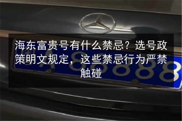 海东富贵号有什么禁忌?选号政策明文规定,这些禁忌行为严禁触碰 第2张 海东富贵号有什么禁忌?选号政策明文规定,这些禁忌行为严禁触碰 第2张