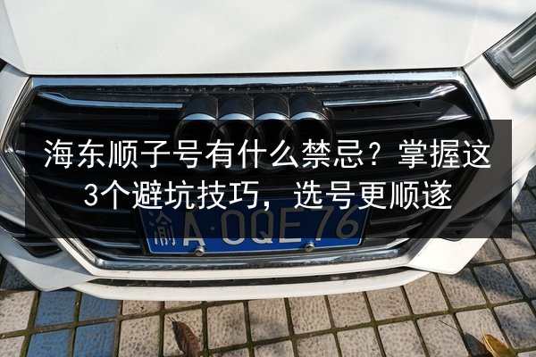 海东顺子号有什么禁忌?掌握这3个避坑技巧,选号更顺遂 第3张 海东顺子号有什么禁忌?掌握这3个避坑技巧,选号更顺遂 第3张