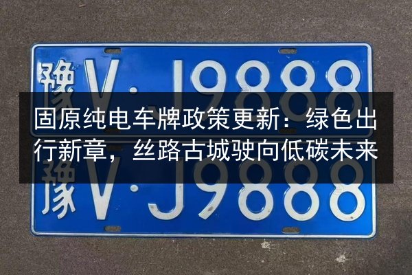 固原纯电车牌政策更新：绿色出行新章，丝路古城驶向低碳未来 第2张