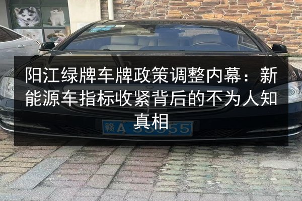 阳江绿牌车牌政策调整内幕：新能源车指标收紧背后的不为人知真相