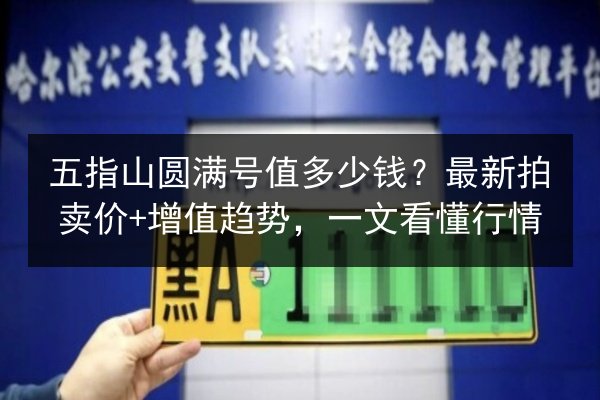 五指山圆满号值多少钱?最新拍卖价+增值趋势,一文看懂行情 第3张 五指山圆满号值多少钱?最新拍卖价+增值趋势,一文看懂行情 第3张