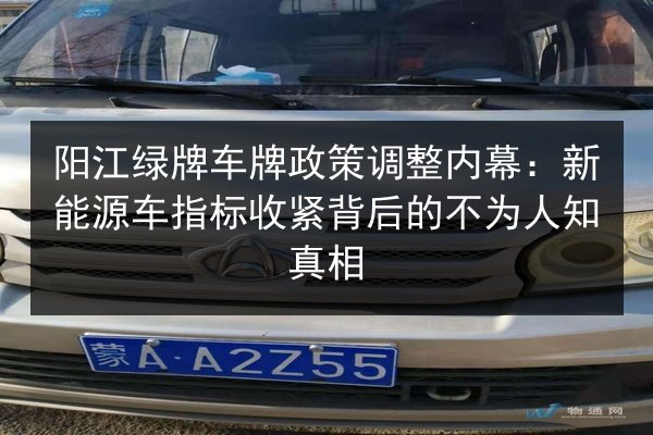 阳江绿牌车牌政策调整内幕：新能源车指标收紧背后的不为人知真相 第2张