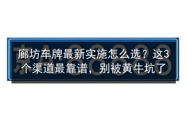 廊坊车牌最新实施怎么选？这3个渠道最靠谱，别被黄牛坑了 第2张
