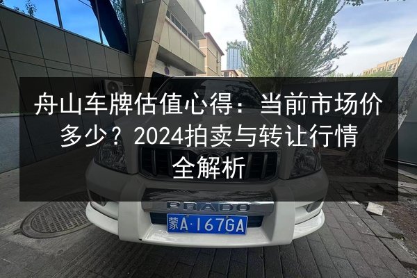 舟山车牌估值心得：当前市场价多少？2024拍卖与转让行情全解析 第2张