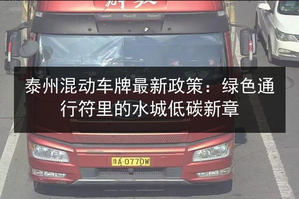 泰州混动车牌最新政策:绿色通行符里的水城低碳新章 第2张 泰州混动车牌最新政策:绿色通行符里的水城低碳新章 第2张
