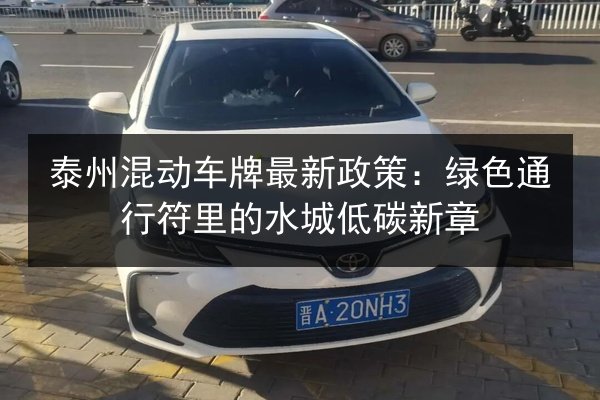 泰州混动车牌最新政策:绿色通行符里的水城低碳新章 第3张 泰州混动车牌最新政策:绿色通行符里的水城低碳新章 第3张