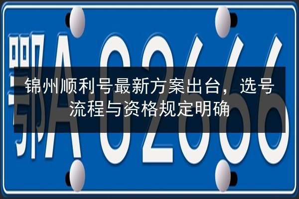 锦州顺利号最新方案出台，选号流程与资格规定明确