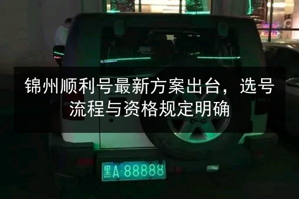 锦州顺利号最新方案出台，选号流程与资格规定明确 第2张