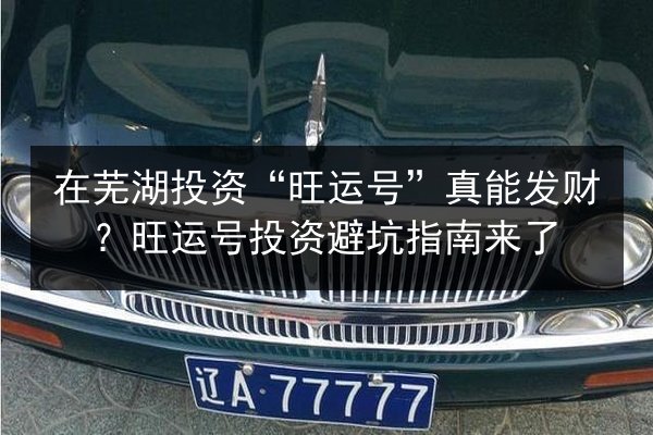 在芜湖投资“旺运号”真能发财?旺运号投资避坑指南来了 第3张 在芜湖投资“旺运号”真能发财?旺运号投资避坑指南来了 第3张