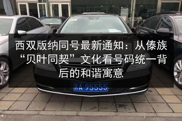 西双版纳同号最新通知:从傣族“贝叶同契”文化看号码统一背后的和谐寓意 第2张 西双版纳同号最新通知:从傣族“贝叶同契”文化看号码统一背后的和谐寓意 第2张