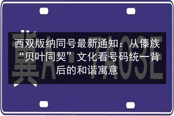 西双版纳同号最新通知:从傣族“贝叶同契”文化看号码统一背后的和谐寓意 第3张 西双版纳同号最新通知:从傣族“贝叶同契”文化看号码统一背后的和谐寓意 第3张