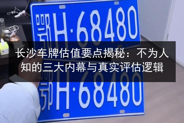 长沙车牌估值要点揭秘：不为人知的三大内幕与真实评估逻辑 第2张