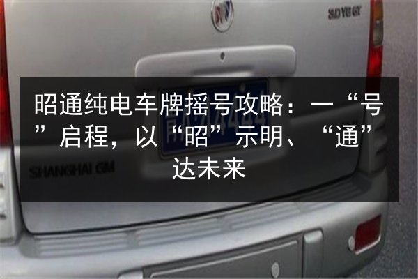 昭通纯电车牌摇号攻略：一“号”启程，以“昭”示明、“通”达未来